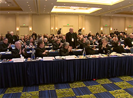 usccb-general-assembly-2019-screenshots-1-montage