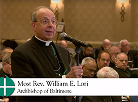usccb-general-assembly-2019-screenshots-11-montage