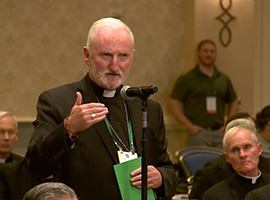 usccb-general-assembly-2019-screenshots-12-montage