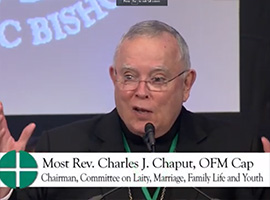 usccb-general-assembly-2019-screenshots-17-montage