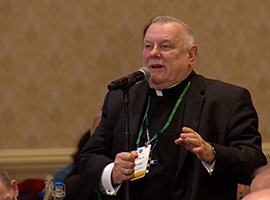 usccb-general-assembly-2019-screenshots-18-montage