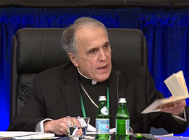 usccb-general-assembly-2019-screenshots-2-montage