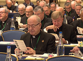 usccb-general-assembly-2019-screenshots-3-montage