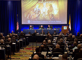 usccb-general-assembly-2019-screenshots-4-montage