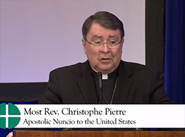 usccb-general-assembly-2019-screenshots-5-montage