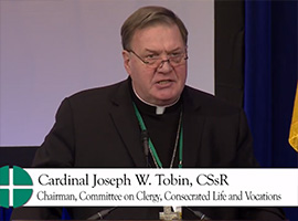 usccb-general-assembly-2019-screenshots-6-montage
