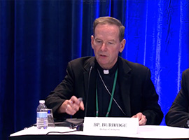 usccb-general-assembly-2019-screenshots-7-montage