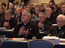 usccb-general-assembly-2019-screenshots-9-montage