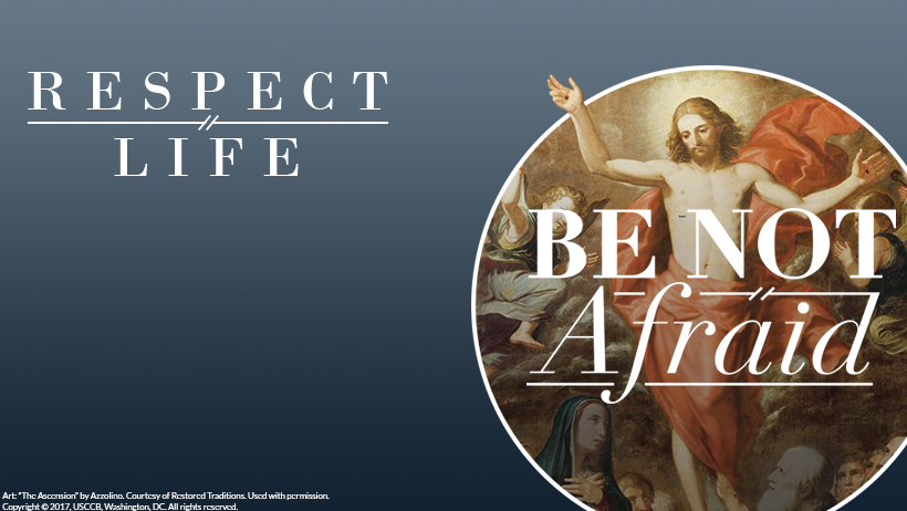 Respect Life Cover Photo: Be Not Afraid