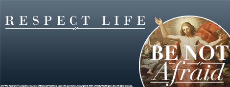 Twitter Respect Life Cover Photo: Be Not Afraid