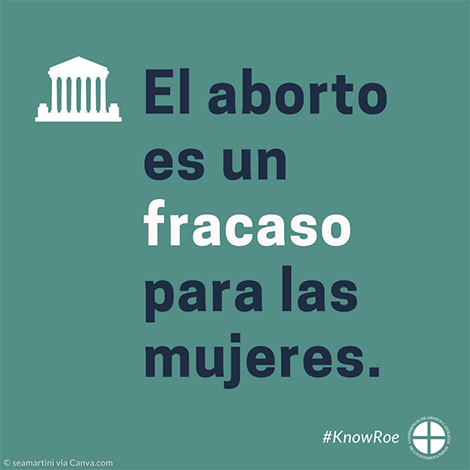 #KnowRoe Image 7 - Spanish - 470