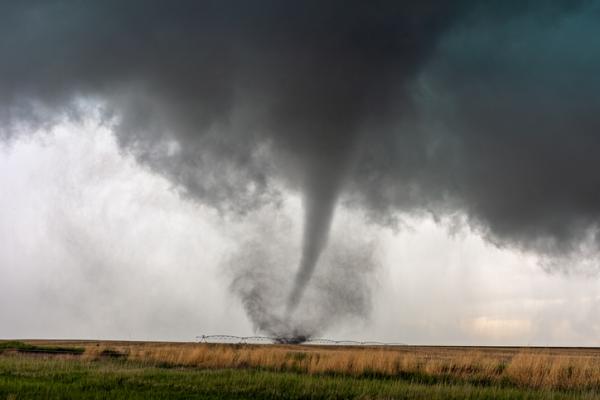 Tornado travels through a corn field