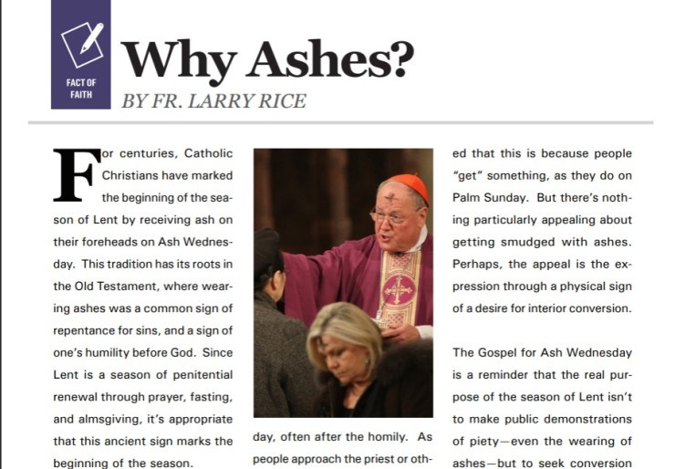 Why Ashes Cover Image